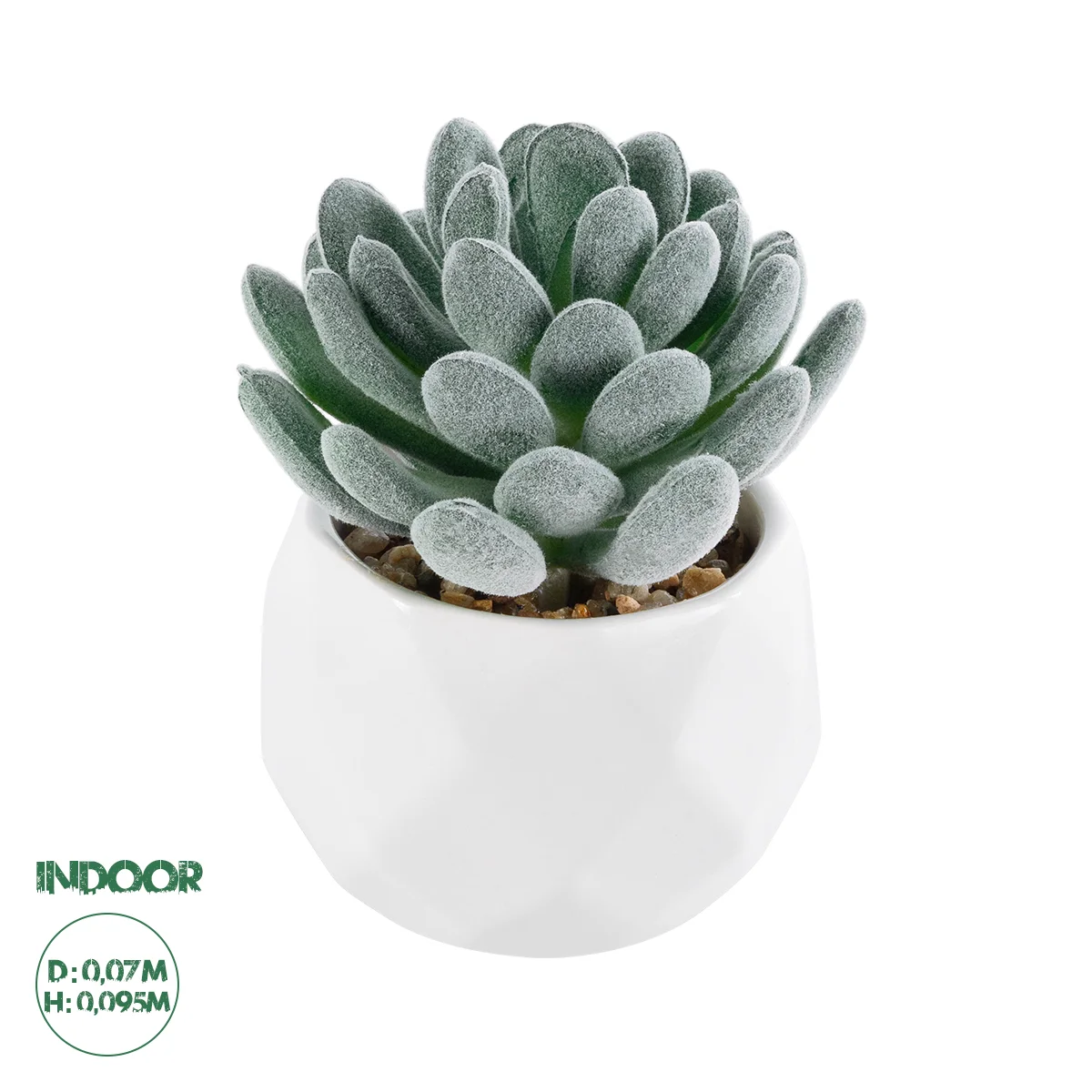 Φωτογραφία προϊόντος: GloboStar® Artificial Garden SUCCULENT SEDEVERIA 21001 Διακοσμητικό Φυτό Παχύφυτο Σεντεβέρια Υ9.5cm