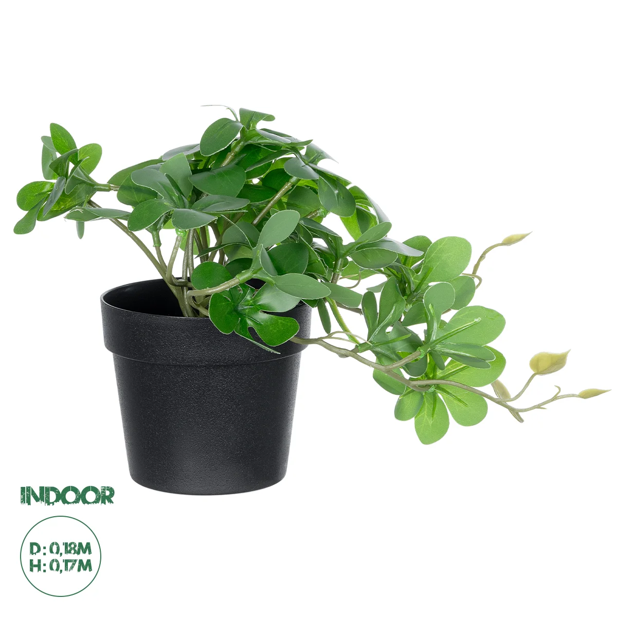 Φωτογραφία προϊόντος: GloboStar® Artificial Garden SCHEFFLERA PLANT 20954 Διακοσμητικό Φυτό Σεφλέρα Φ18 x Υ17cm