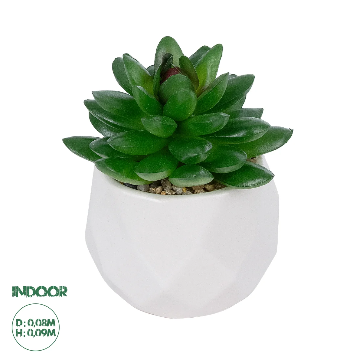 Φωτογραφία προϊόντος: GloboStar® Artificial Garden SUCCULENT SEDEVERIA POTTED PLANT 21002 Διακοσμητικό Φυτό Σεδεβέρια Φ8 x Υ9cm