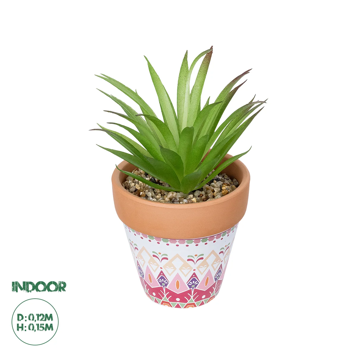 Φωτογραφία προϊόντος: GloboStar® Artificial Garden AIR PLANT NEOPHYTUM POTTED PLANT 21043 Διακοσμητικό Φυτό Νεόφυτο Φ12 x Υ15cm