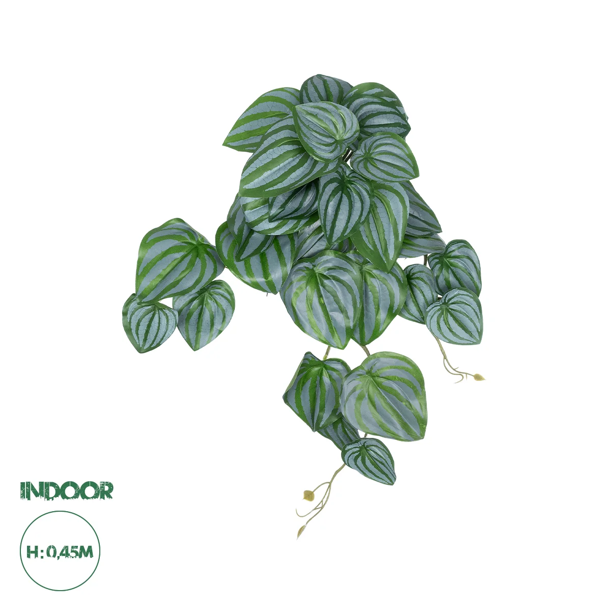 Φωτογραφία προϊόντος: GloboStar® Artificial Garden PEPEROMIA HANGING PLANT 20603 Τεχνητό Διακοσμητικό Κρεμαστό Φυτό Πεπερόμια Υ45cm