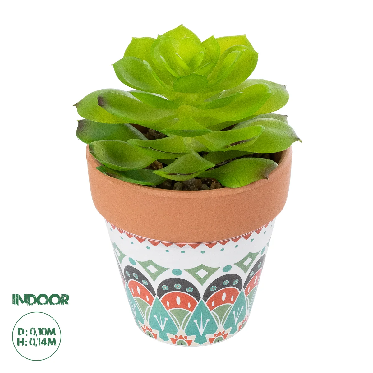 Φωτογραφία προϊόντος: GloboStar® Artificial Garden SUCCULENT ECHEVERIA 21049 Διακοσμητικό Φυτό Παχύφυτο Εχεβέρια Υ14cm