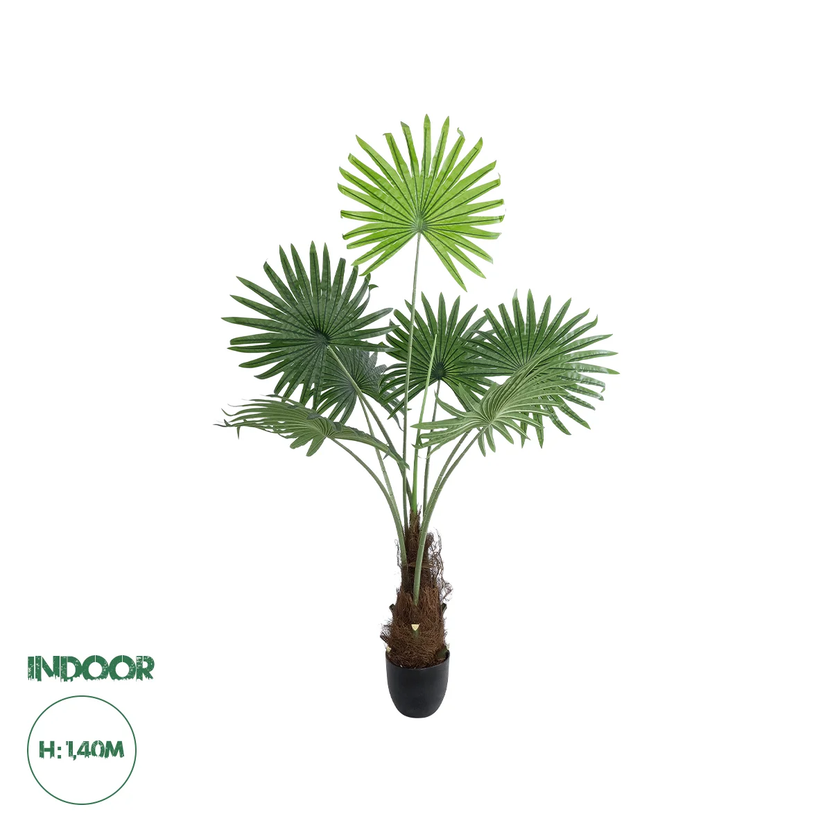Φωτογραφία προϊόντος: GloboStar® Artificial Garden SERENOA PALM PLANT 20971 Διακοσμητικό Φυτό Φοίνικα Σερενόα Φ60 x Υ140cm