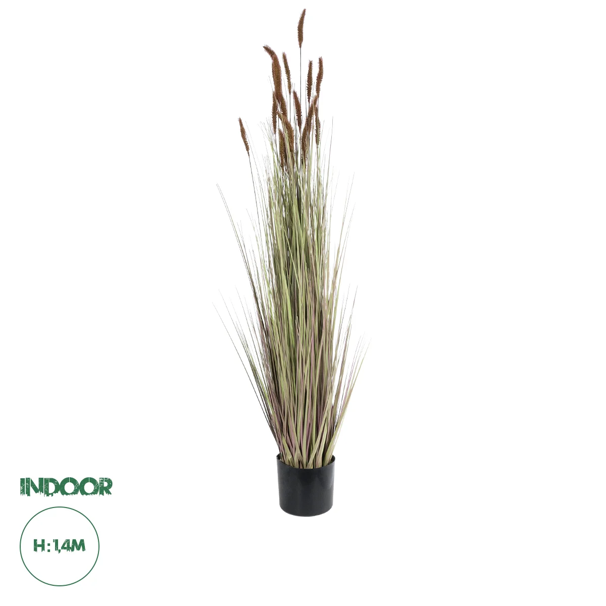 Φωτογραφία προϊόντος: GloboStar® Artificial Garden BROWN LAGURUS 21101 Διακοσμητικό Φυτό Καφέ Λαγοουρά Υ140cm