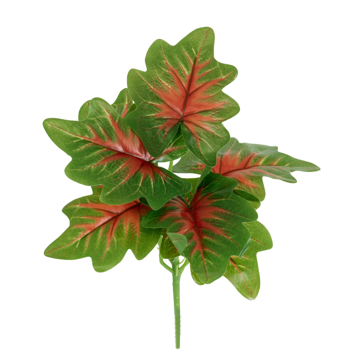 Φωτογραφία προϊόντος: GloboStar® CALADIUM S-78271 Τεχνητό Φυτό Καλάδιο - Μπουκέτο Διακοσμητικών Φυτών - Κλαδιών με Φύλλωμα Πράσινο - Κόκκινο - Κίτρινο Υ28cm