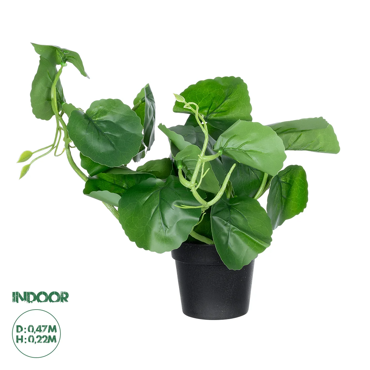Φωτογραφία προϊόντος: GloboStar® Artificial Garden BELL PLANT 20957 Διακοσμητικό Φυτό Σεφλέρα Φ47 x Υ22cm