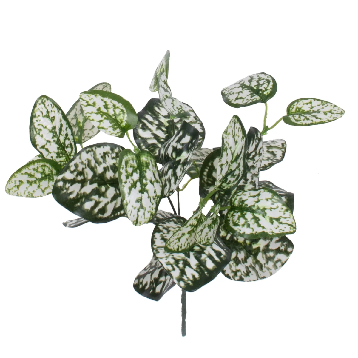 Φωτογραφία προϊόντος: GloboStar® POLKA DOT PLANT 78259 Τεχνητό Φυτό Πόλκα - Μπουκέτο Διακοσμητικών Φυτών - Κλαδιών με Φύλλωμα Πράσινο - Λευκό Υ33cm