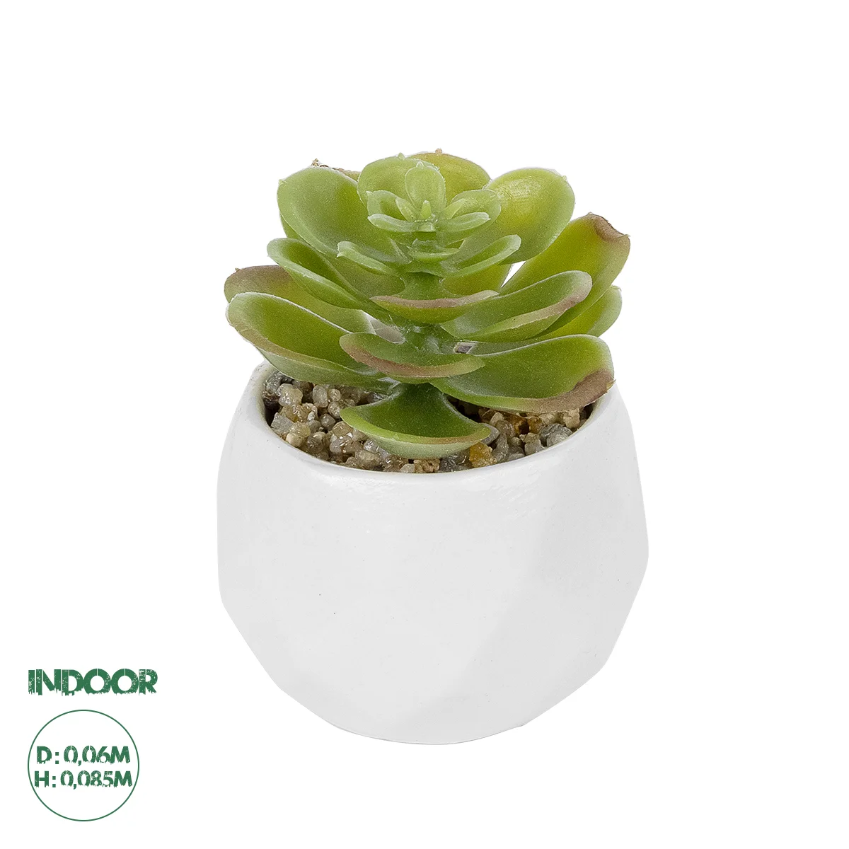 Φωτογραφία προϊόντος: GloboStar® Artificial Garden SUCCULENT ECHEVERIA POTTED PLANT 20991 Διακοσμητικό Φυτό Εχεβέρια Φ6 x Υ8,5cm