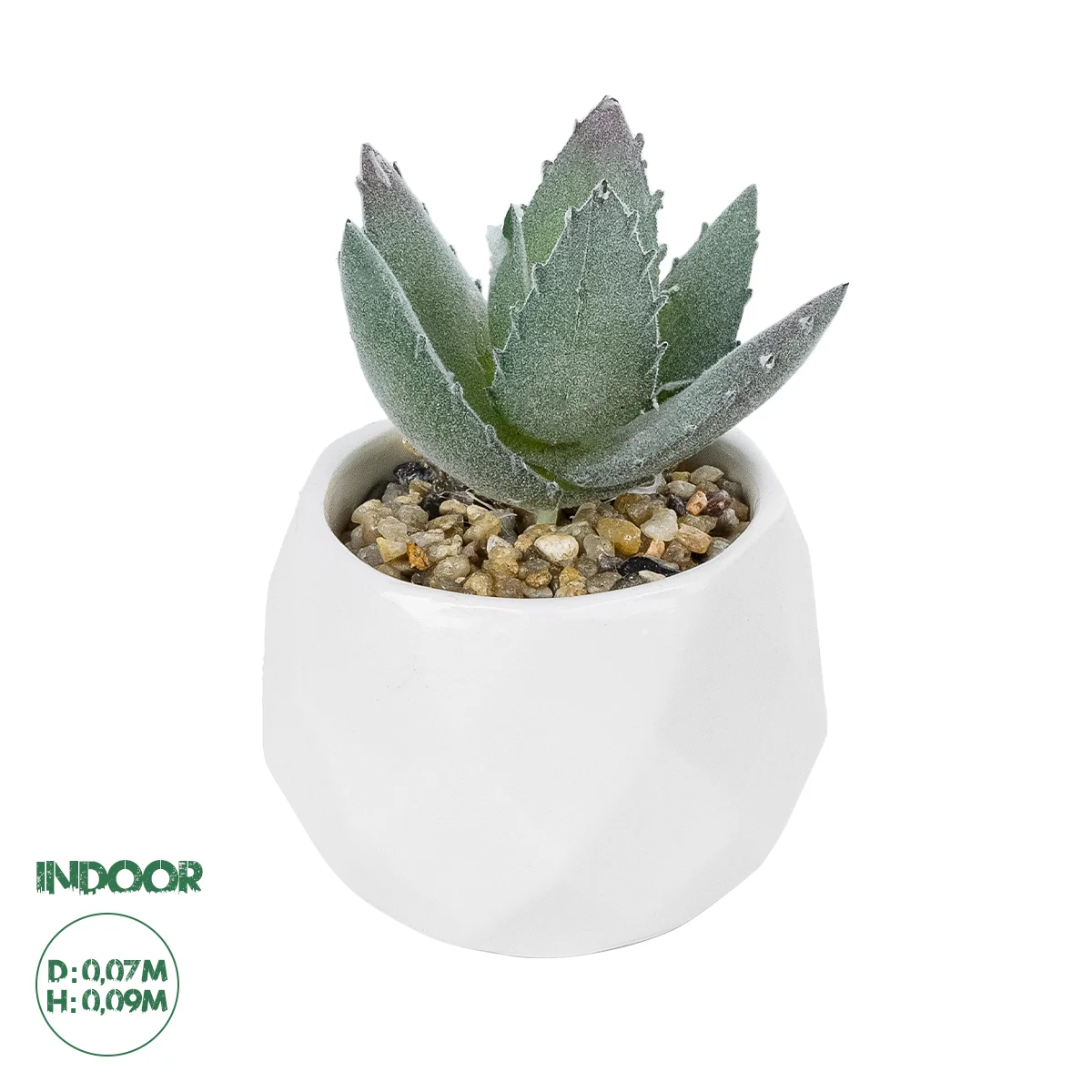 Φωτογραφία προϊόντος: GloboStar® Artificial Garden SUCCULENT ALOE POTTED PLANT 20999 Διακοσμητικό Φυτό Αλόη Φ7 x Υ9cm