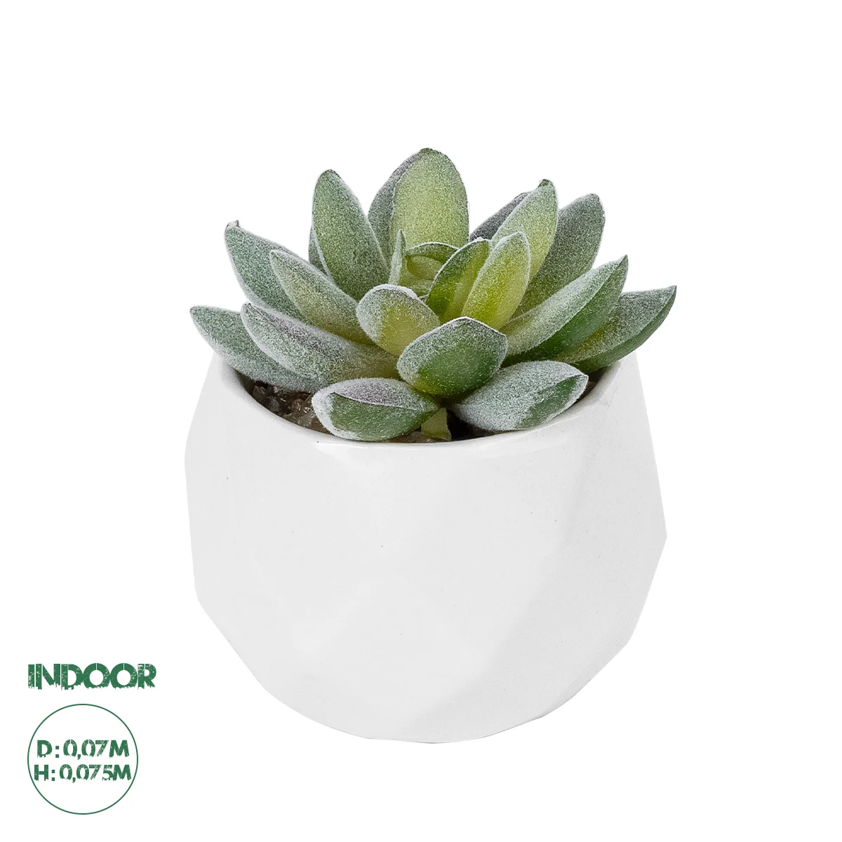 Φωτογραφία προϊόντος: GloboStar® Artificial Garden SUCCULENT SEDEVERIA POTTED PLANT 20987 Διακοσμητικό Φυτό Σεδεβέρια Φ7 x Υ7,5cm