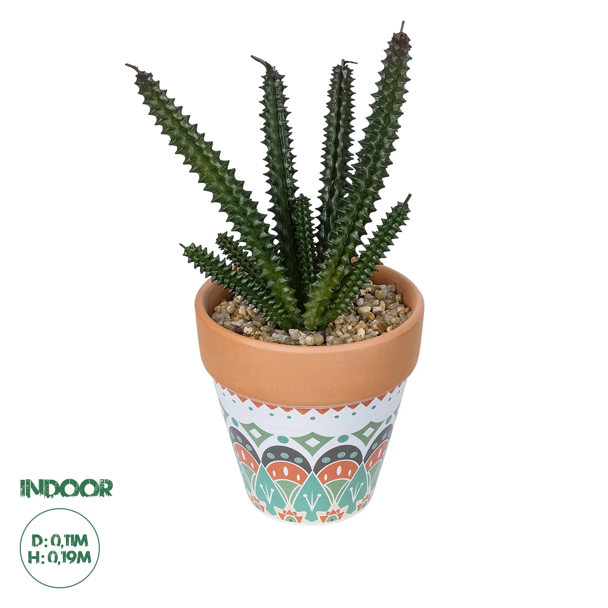 Φωτογραφία προϊόντος: GloboStar® Artificial Garden SUCCULENT EUPHORBIA POTTED PLANT 21045 Διακοσμητικό Φυτό Ευφορβία Φ11 x Υ19cm