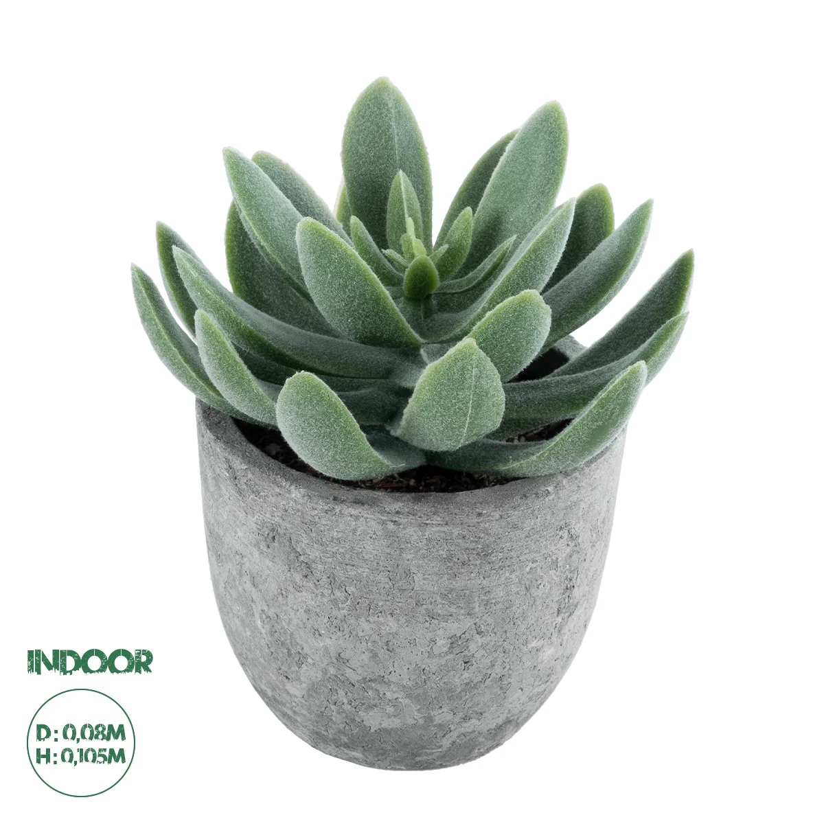 Φωτογραφία προϊόντος: GloboStar® Artificial Garden SUCCULENT SEDEVERIA 21025 Διακοσμητικό Φυτό Παχύφυτο Σεντεβέρια Υ10.5cm