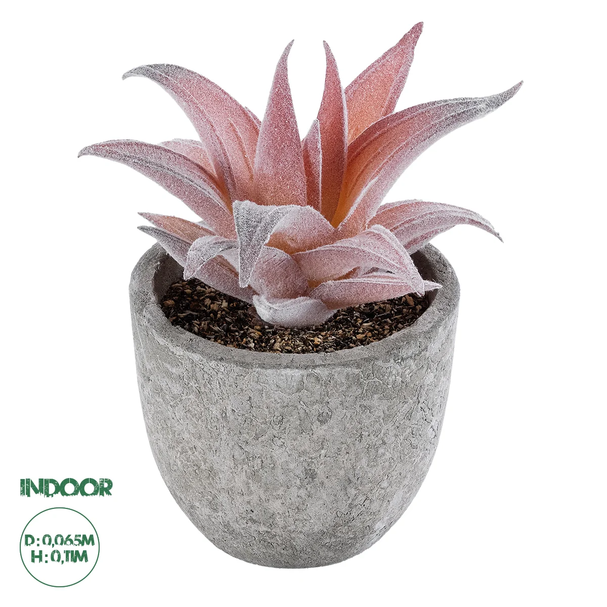 Φωτογραφία προϊόντος: GloboStar® Artificial Garden SUCCULENT ALOE 21032 Διακοσμητικό Φυτό Παχύφυτο Αλόη Υ11cm