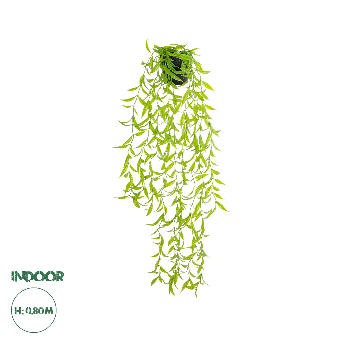 Φωτογραφία προϊόντος: GloboStar® Artificial Garden HANGING CAMELIA LEAF 20879 - Τεχνητό Κρεμαστό Διακοσμητικό Φυτό Φύλλο Καμέλιας Φ31 x Y80cm