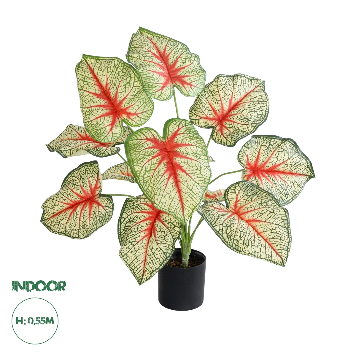 Φωτογραφία προϊόντος: GloboStar® Artificial Garden CALADIUM PLANT 20932 Διακοσμητικό Φυτό Καλάντιουμ Φ58 x Υ55cm