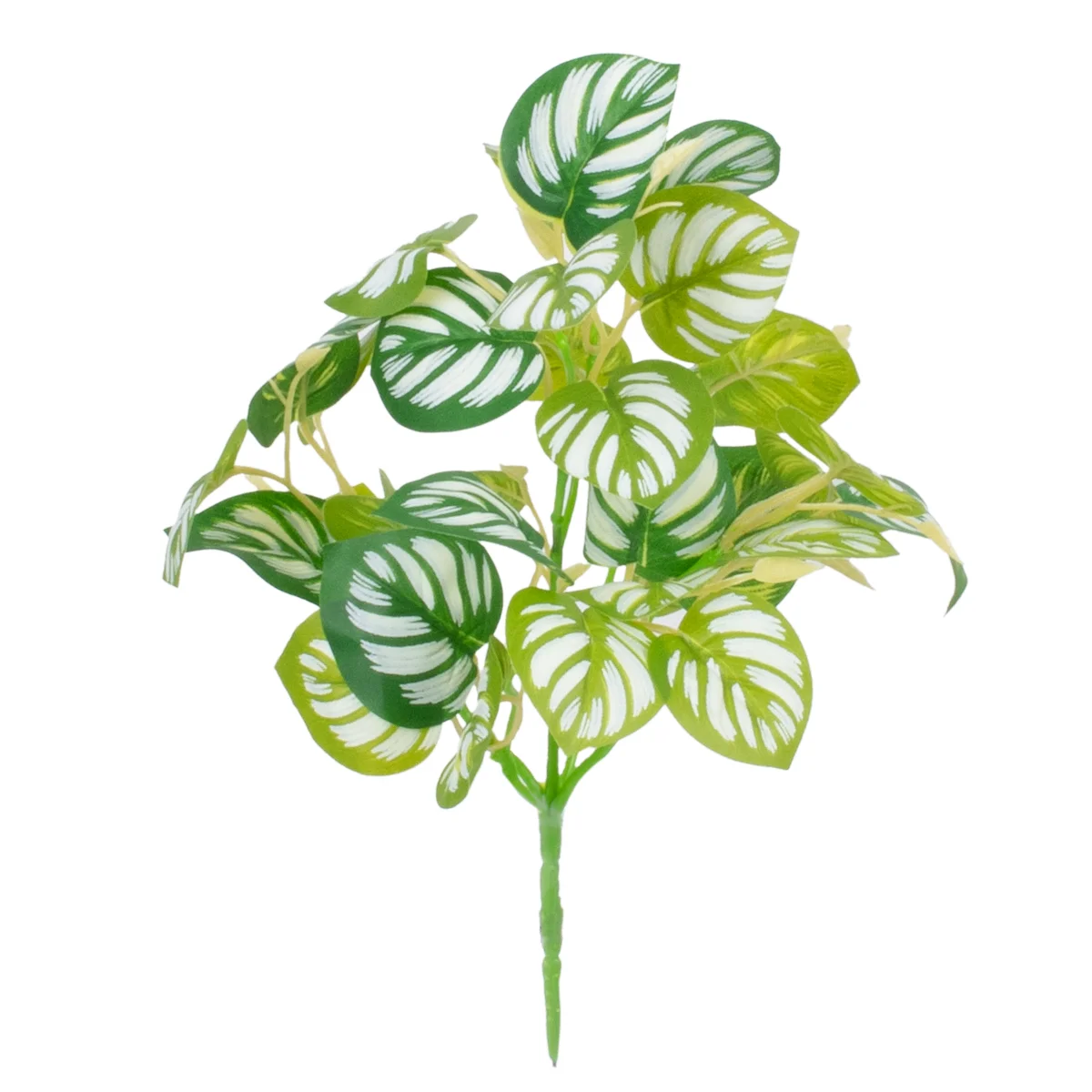 Φωτογραφία προϊόντος: GloboStar® PEPEROMIA L.GREEN 78220 Τεχνητό Φυτό Πεπερόμια Αν.Πρ. - Μπουκέτο Διακοσμητικών Φυτών - Κλαδιών με Φύλλωμα Πράσινο - Κίτρινο - Λευκό Υ28cm