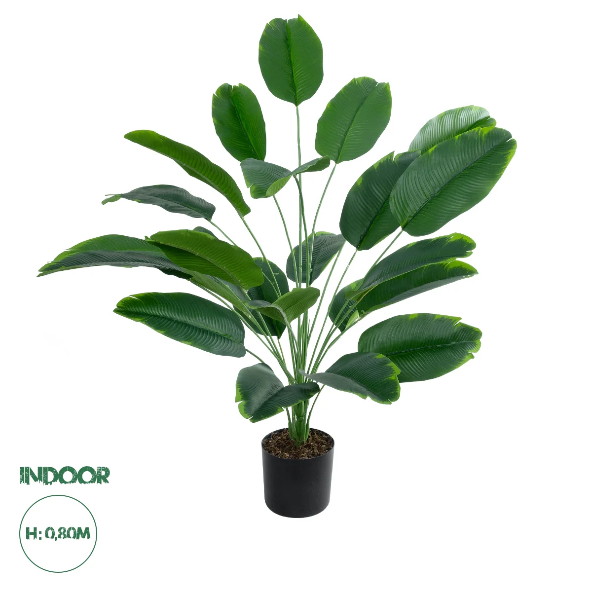 Φωτογραφία προϊόντος: GloboStar® Artificial Garden YOUNG BANANA PLANT 20916 - Διακοσμητικό Φυτό Νεαρή Μπανανιά Φ82 x Υ80cm