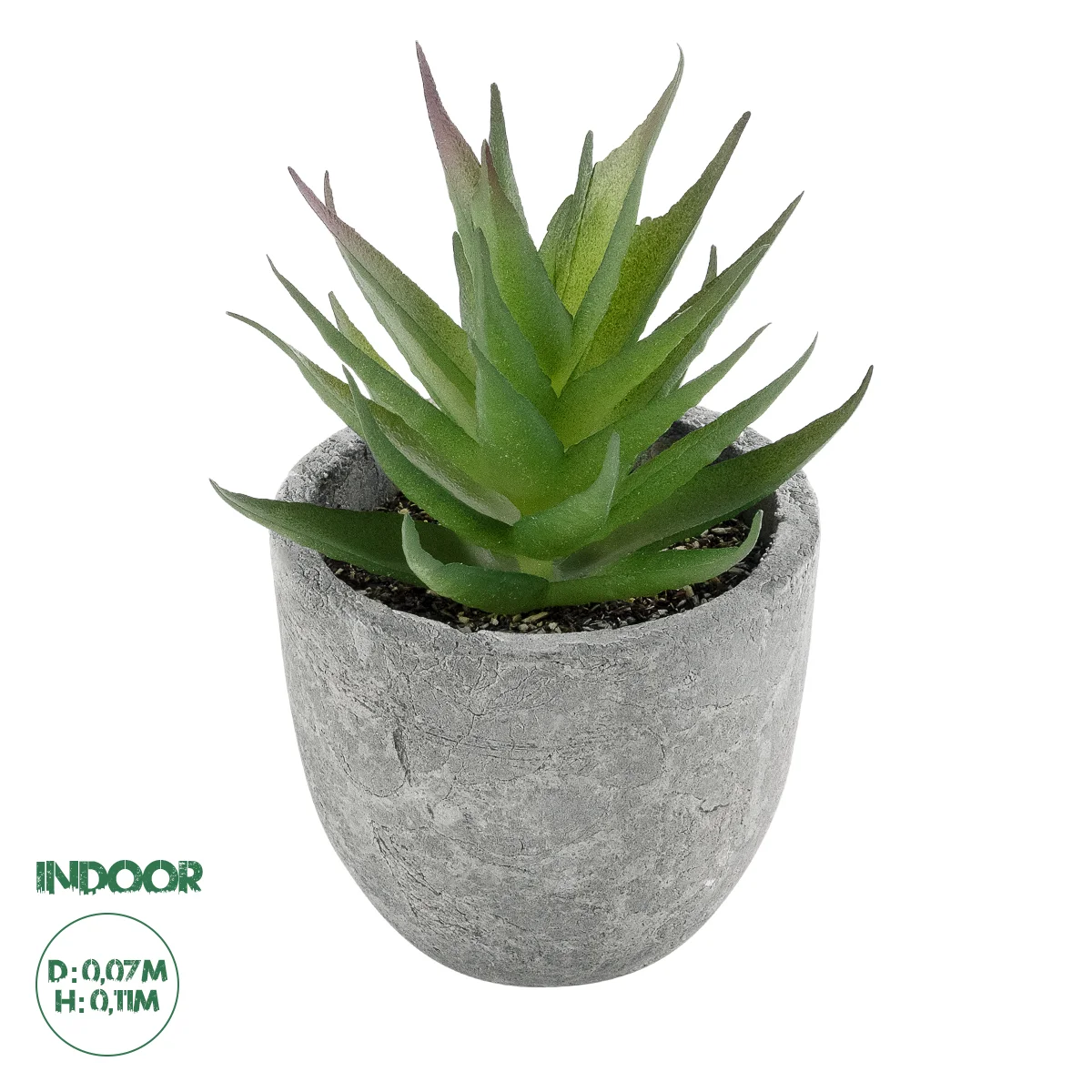 Φωτογραφία προϊόντος: GloboStar® Artificial Garden SUCCULENT ALOE 21010 Διακοσμητικό Φυτό Παχύφυτο Αλόη Υ11cm