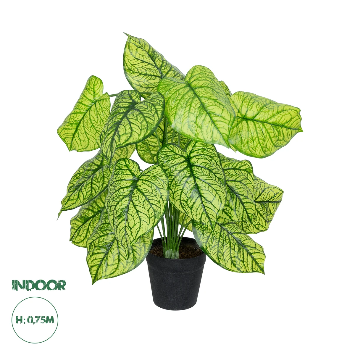 Φωτογραφία προϊόντος: GloboStar® Artificial Garden CALADIUM PLANT 20913 Διακοσμητικό Φυτό Καλάντιουμ Φ55 x Υ75cm