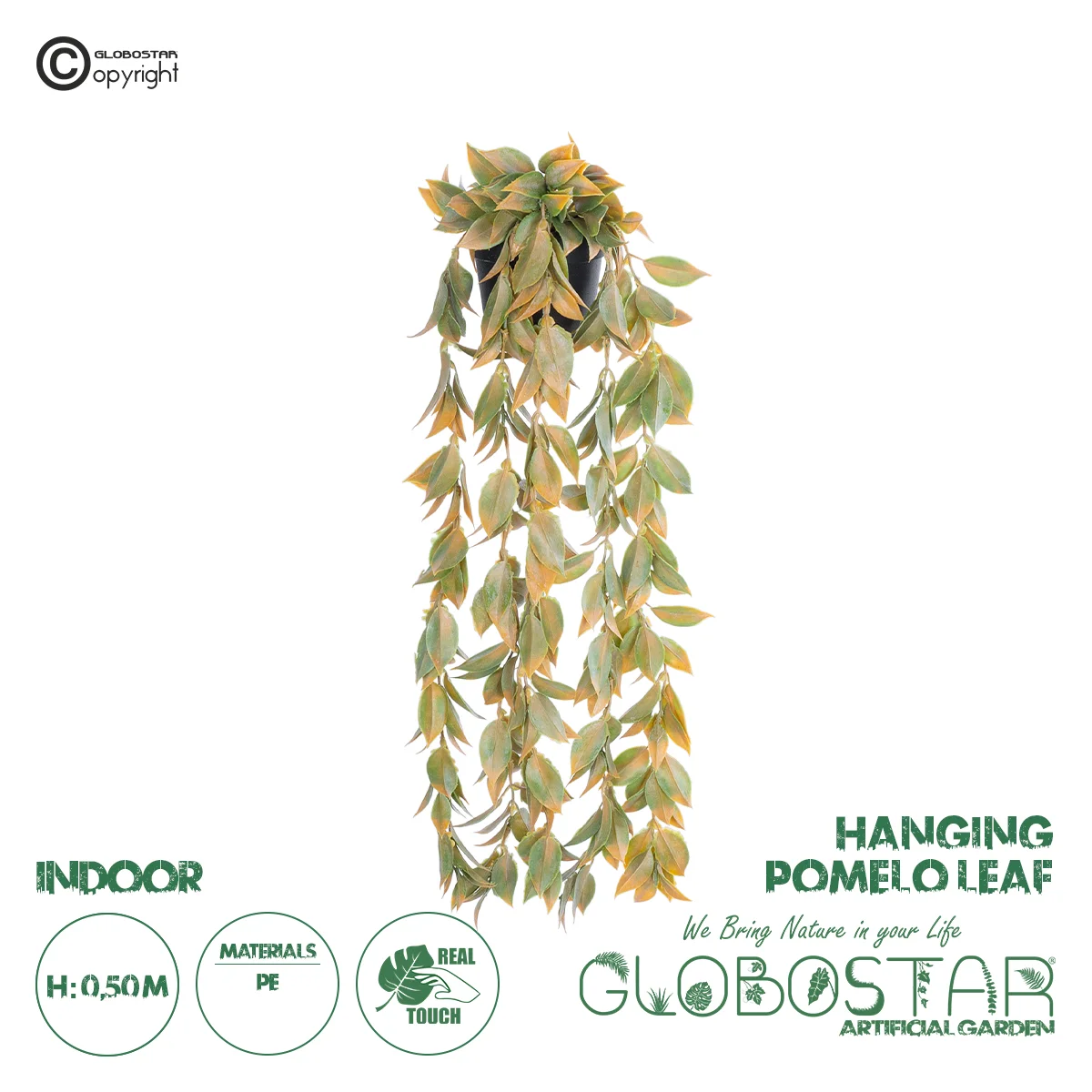Φωτογραφία προϊόντος: GloboStar® Artificial Garden HANGING POMELO LEAF 20871 - Τεχνητό Κρεμαστό Διακοσμητικό Φυτό Φύλλο Πομέλο Φ17 x Y50cm