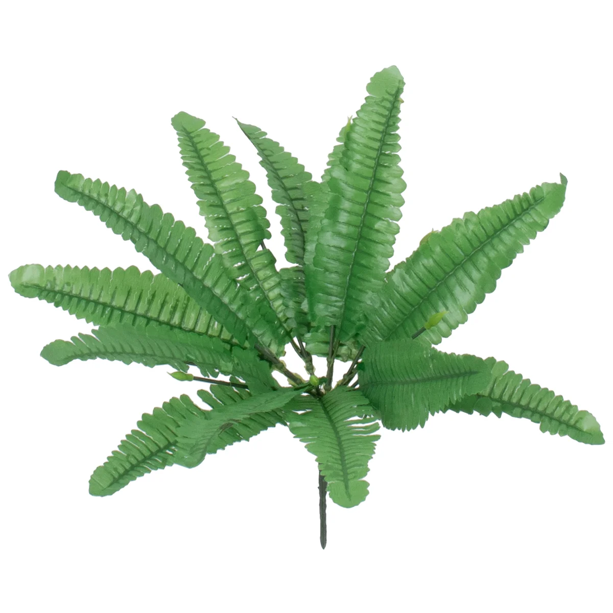 Φωτογραφία προϊόντος: GloboStar® BOSTON FERN SMALL 78291 Τεχνητό Φυτό Φτέρη Βοστώνης Μικρή - Μπουκέτο Διακοσμητικών Φυτών - Κλαδιών με Φύλλωμα Πράσινο Υ30cm