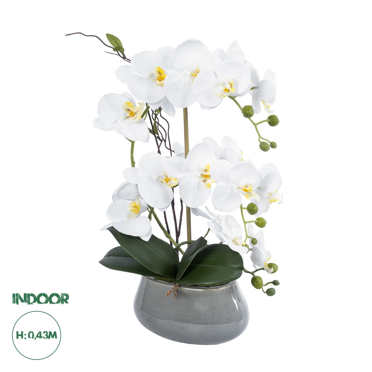 Φωτογραφία προϊόντος: GloboStar® Artificial Garden WHITE ORCHID 21120 Διακοσμητικό Φυτό Λευκή Ορχιδέα Υ43cm