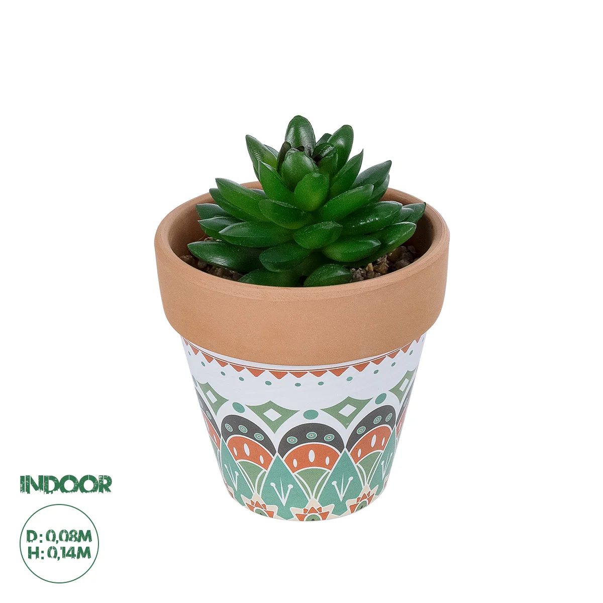 Φωτογραφία προϊόντος: GloboStar® Artificial Garden SUCCULENT SANSEVIERIA POTTED PLANT 21051 Διακοσμητικό Φυτό Σανσεβιέρια Φ8x Υ14cm