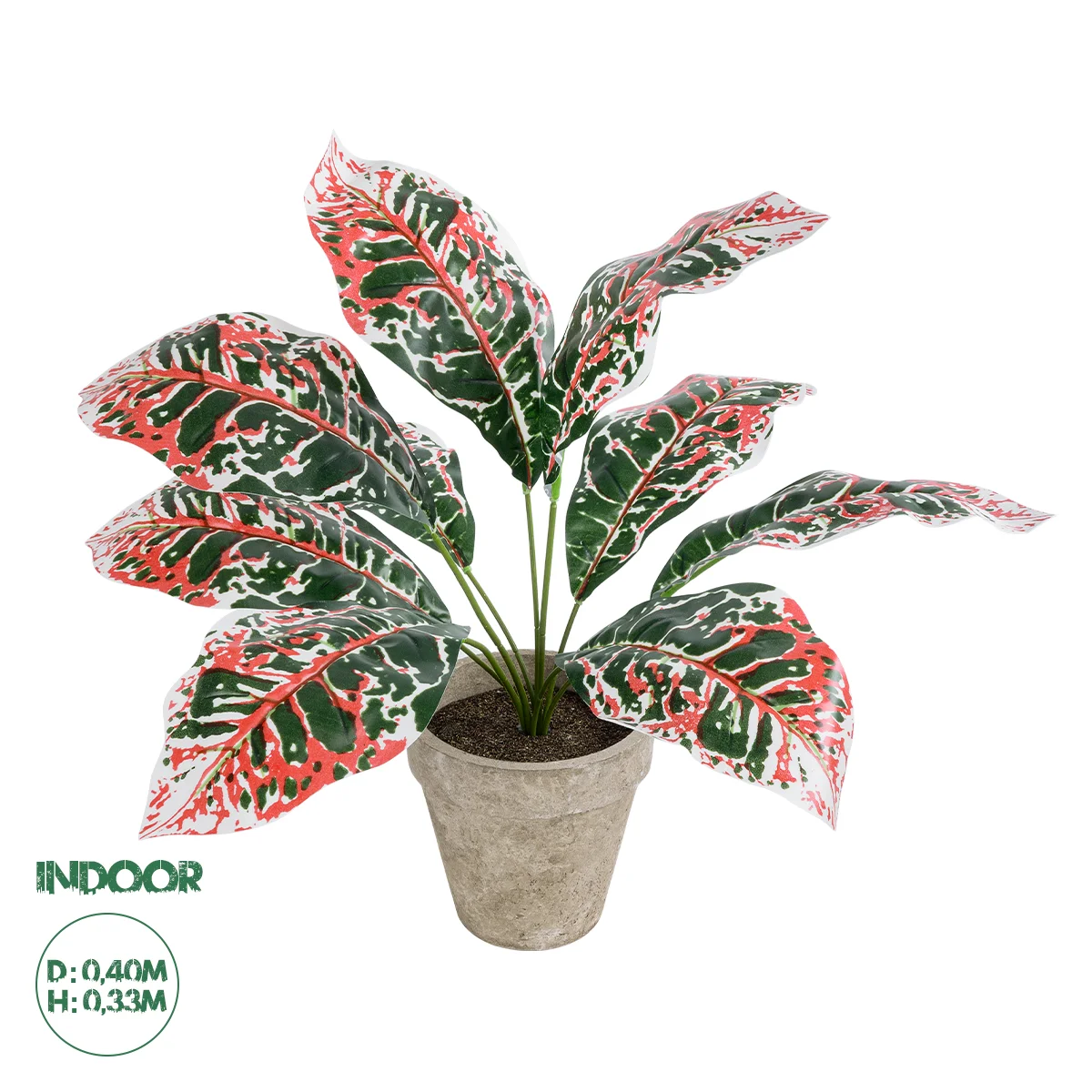 Φωτογραφία προϊόντος: GloboStar® Artificial Garden RED AGLAONEMA POTTED PLANT 20901 Διακοσμητικό Φυτό Κόκκινο Αγλαόνημα Φ40 x Υ33cm