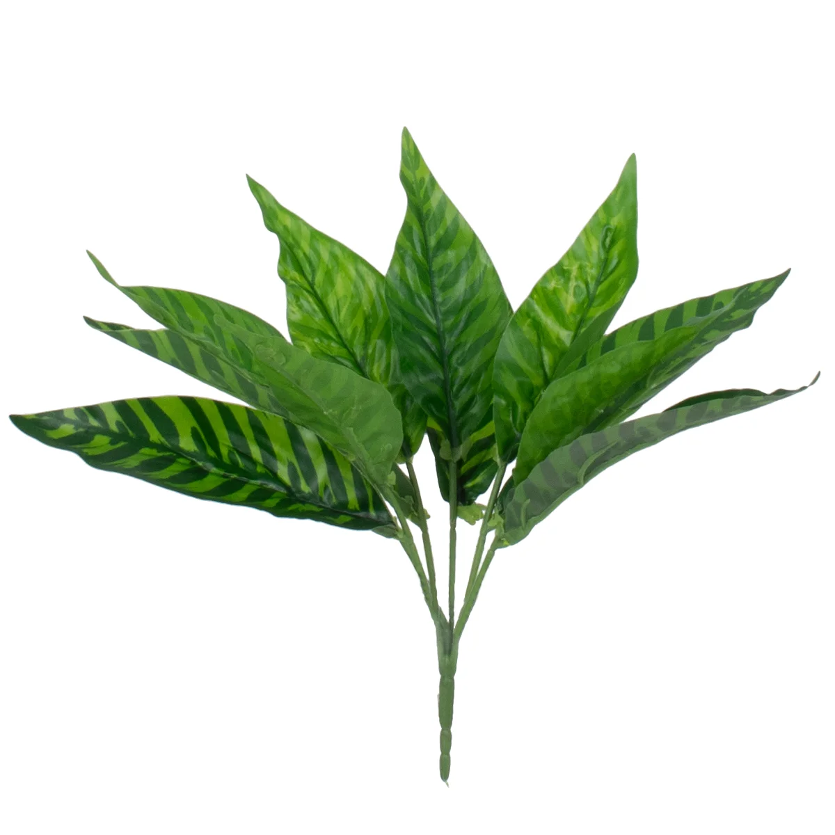 Φωτογραφία προϊόντος: GloboStar® PEACOCK PLANT D.GREEN 78288 Τεχνητό Φυτό Καλαθέα Σ.Πρ. - Μπουκέτο Διακοσμητικών Φυτών - Κλαδιών με Φύλλωμα Πράσινο Υ28cm
