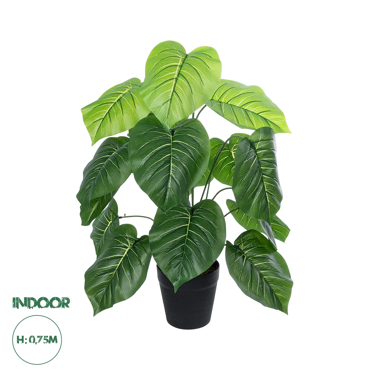 Φωτογραφία προϊόντος: GloboStar® Artificial Garden CALATHEA PLANT 20910 Διακοσμητικό Φυτό Καλαθέα Φ70 x Υ75cm