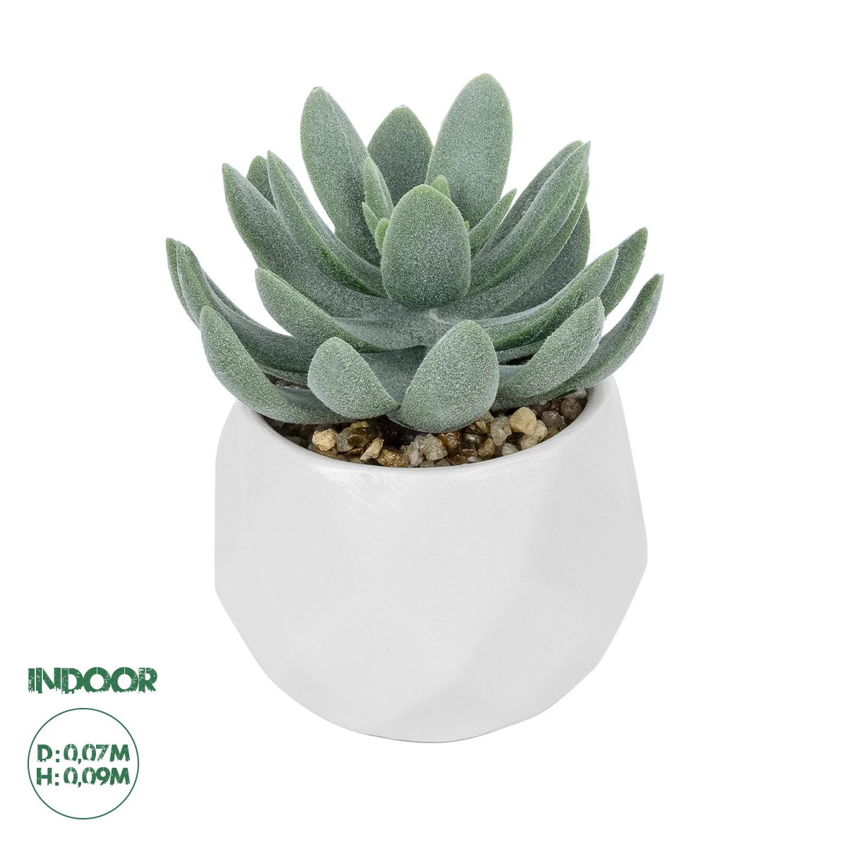 Φωτογραφία προϊόντος: GloboStar® Artificial Garden SUCCULENT SEDEVERIA POTTED PLANT 20998 Διακοσμητικό Φυτό Σεδεβέρια Φ7 x Υ9cm