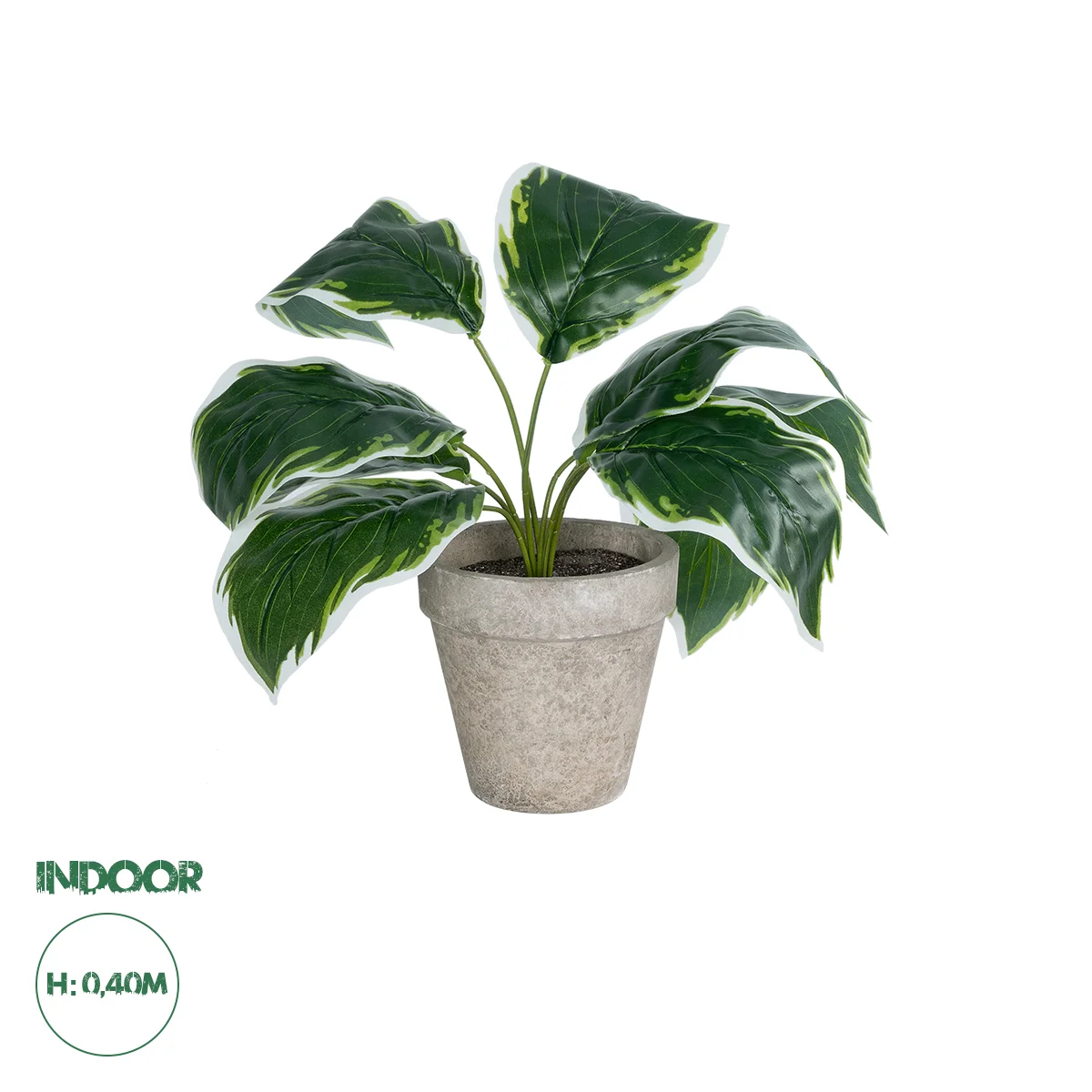 Φωτογραφία προϊόντος: GloboStar® Artificial Garden WHITE HOSTA PLANT 20900 Διακοσμητικό Φυτό Λευκή Χόστα Φ45 x Υ40cm
