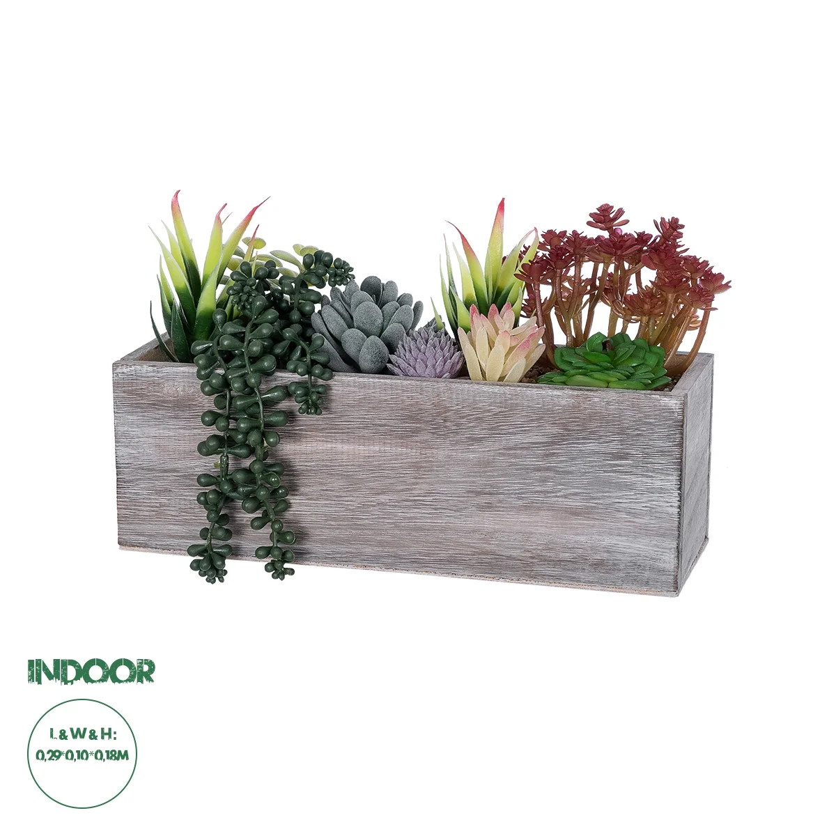 Φωτογραφία προϊόντος: GloboStar® Artificial Garden SUCCULENT VARIUS PLANT POTTED 21033 Διακοσμητικό Φυτό Μίξ Μ29 x Π10 x Υ18cm