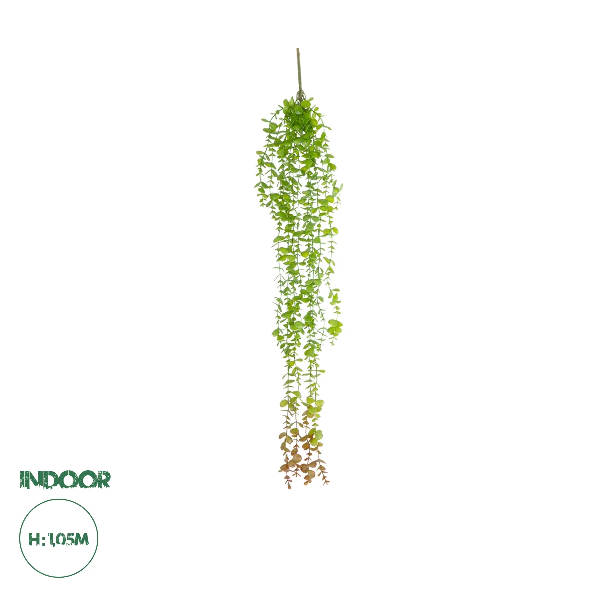 Φωτογραφία προϊόντος: GloboStar® Artificial Garden HANGING EUCALYPTUS 20809 Τεχνητό Διακοσμητικό Κρεμαστό Φυτό Ευκάλυπτος Μ16 x Π9 x Υ105cm