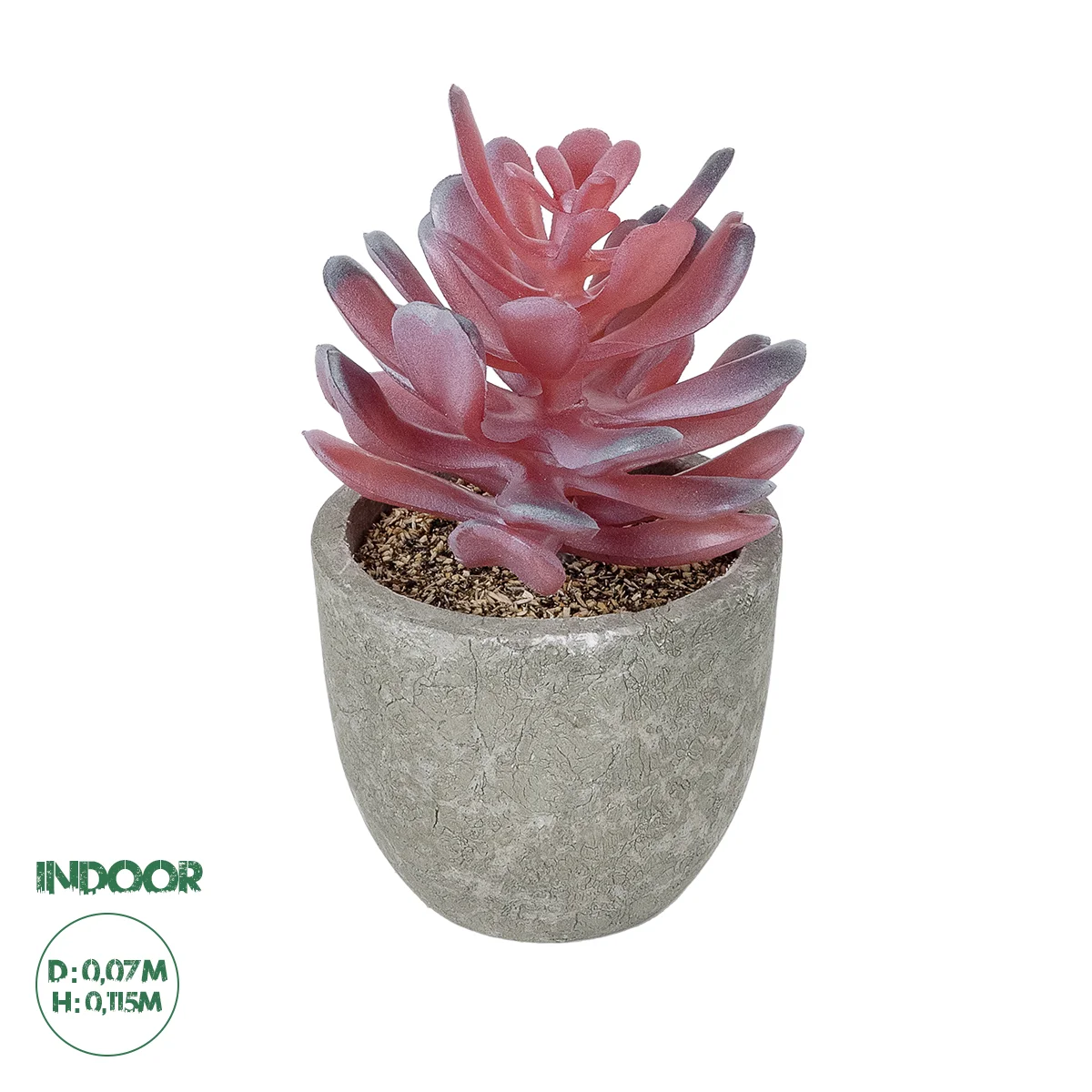 Φωτογραφία προϊόντος: GloboStar® Artificial Garden SUCCULENT CRASSULA POTTED PLANT 21015 Διακοσμητικό Φυτό Κρασούλα Φ7 x Υ11,5cm