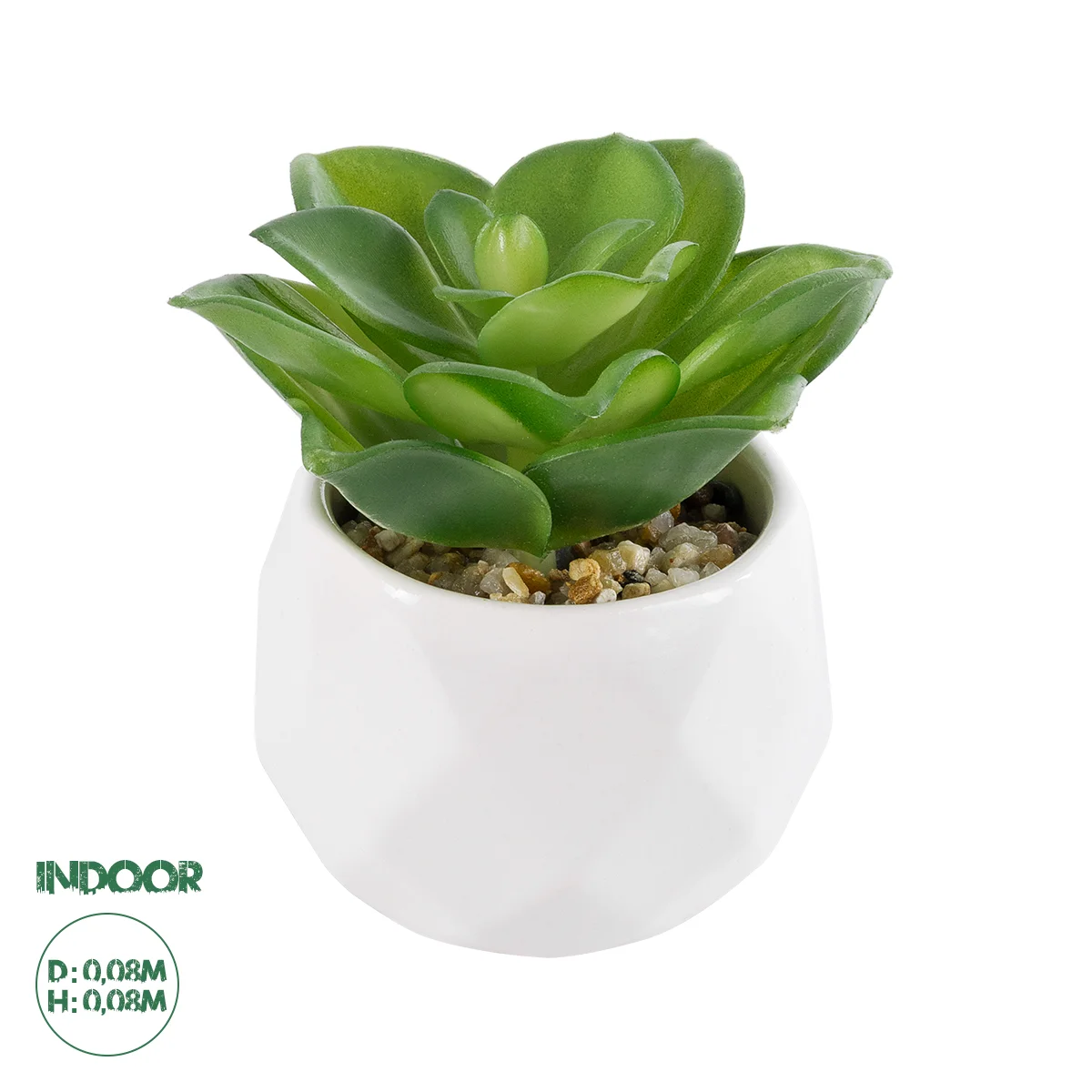 Φωτογραφία προϊόντος: GloboStar® Artificial Garden SUCCULENT ECHEVERIA 21003 Διακοσμητικό Φυτό Παχύφυτο Εχεβέρια Υ8cm