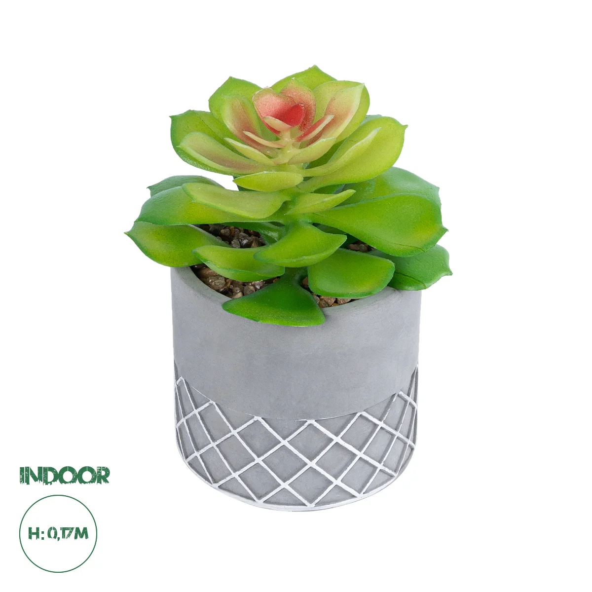 Φωτογραφία προϊόντος: GloboStar® Artificial Garden SUCCULENT SEDEVERIA 21095 Διακοσμητικό Φυτό Παχύφυτο Σεντεβέρια Υ17cm