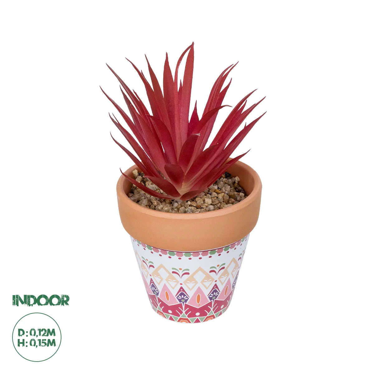 Φωτογραφία προϊόντος: GloboStar® Artificial Garden AIR PLANT NEOPHYTUM POTTED PLANT 21042 Διακοσμητικό Φυτό Νεόφυτο Φ12 x Υ15cm