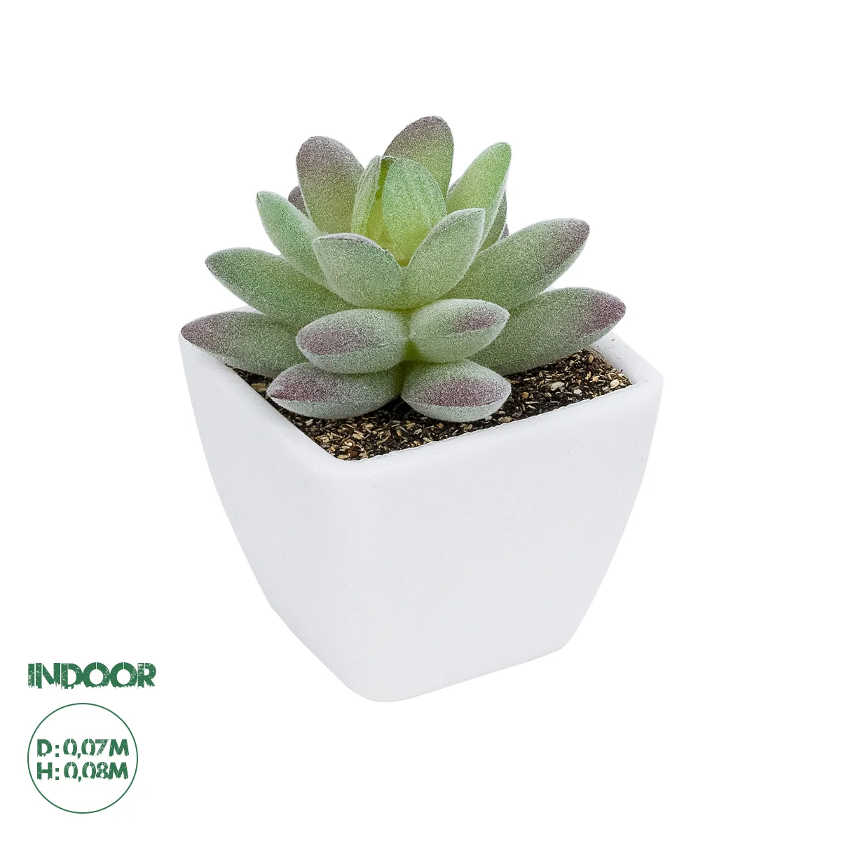 Φωτογραφία προϊόντος: GloboStar® Artificial Garden SUCCULENT SEDEVERIA POTTED PLANT 20975 Διακοσμητικό Φυτό Φοίνικα Σερενόα Φ7 x Υ8cm