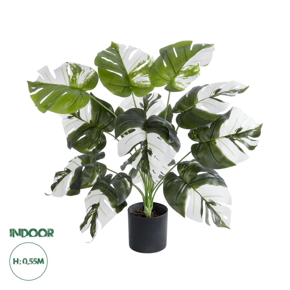 Φωτογραφία προϊόντος: GloboStar® Artificial Garden ALBINO MONSTERA PLANT 20935 - Διακοσμητικό Φυτό Λευκή Μονστέρα Φ60 x Υ55cm