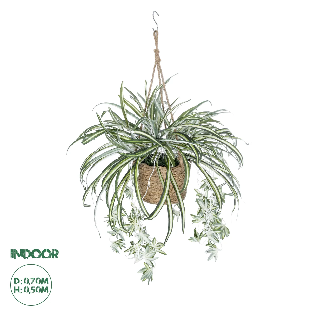 Φωτογραφία προϊόντος: GloboStar® Artificial Garden CHLOROPHYTUM COMOSUM HANGING PLANT 20638 Τεχνητό Κρεμαστό Διακοσμητικό Χλωρόφυτο Y50cm