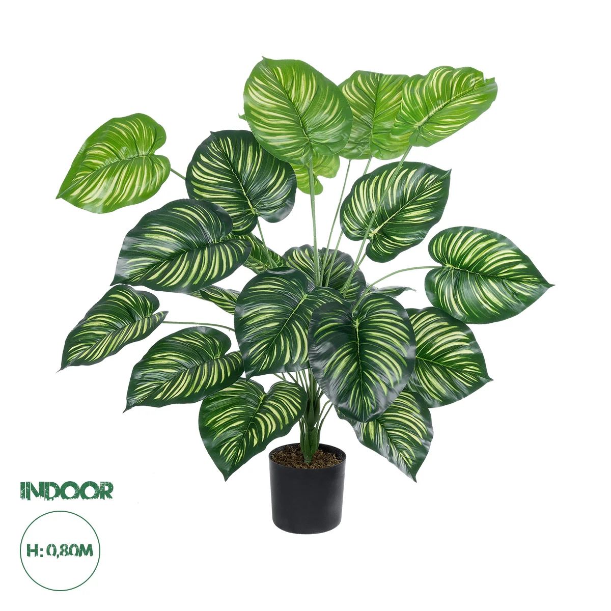 Φωτογραφία προϊόντος: GloboStar® Artificial Garden CALATHEA PLANT 20922 Διακοσμητικό Φυτό Καλαθέα Φ70 x Υ80cm