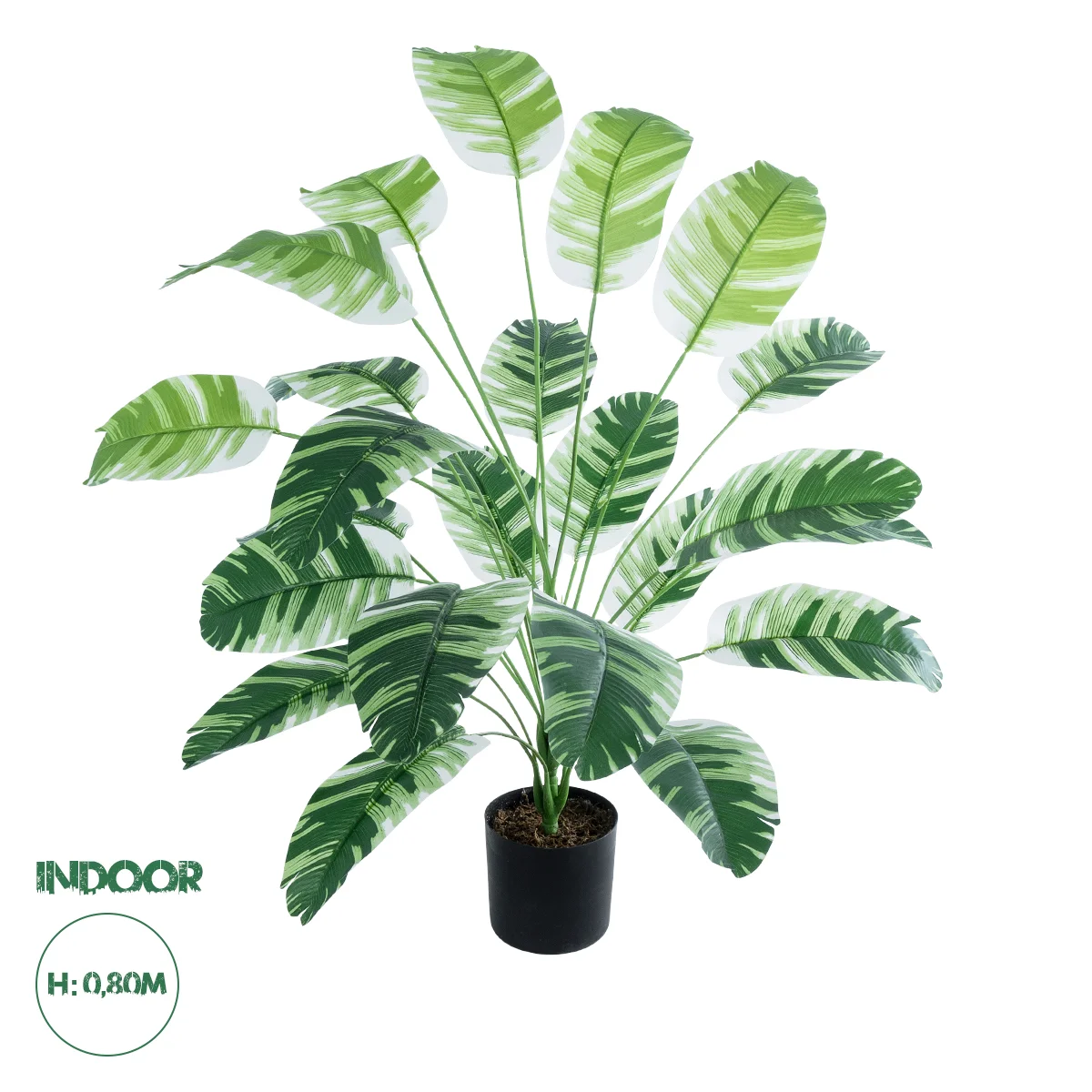 Φωτογραφία προϊόντος: GloboStar® Artificial Garden BANANA ZEBRA PLANT 20918 - Διακοσμητικό Φυτό Μπανανιά Ζέβρα Φ83 x Υ80cm