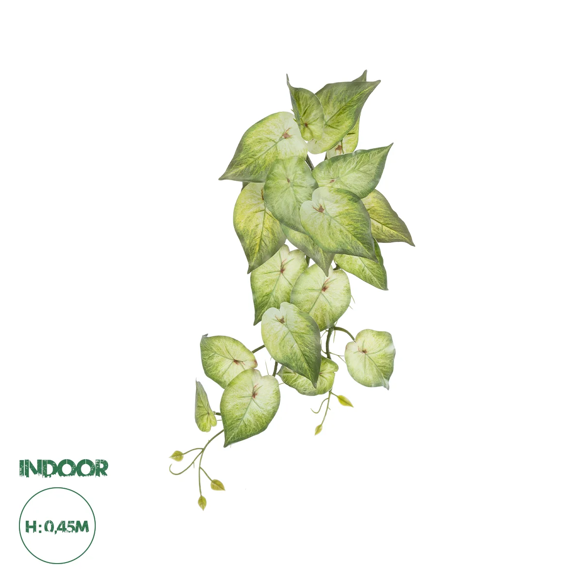 Φωτογραφία προϊόντος: GloboStar® Artificial Garden SYNGONIUM HANGING PLANT 20598 Τεχνητό Διακοσμητικό Κρεμαστό Φυτό Συγκόνιο Υ50cm