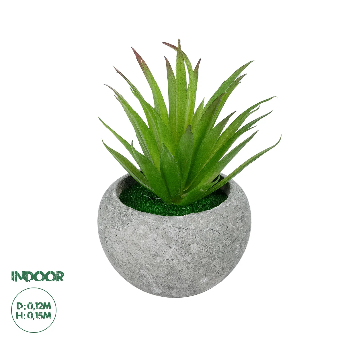 Φωτογραφία προϊόντος: GloboStar® Artificial Garden AIR PLANT TILLANDSIA POTTED PLANT 21036 Διακοσμητικό Φυτό Τιλάντσια Φ12 x Υ15cm