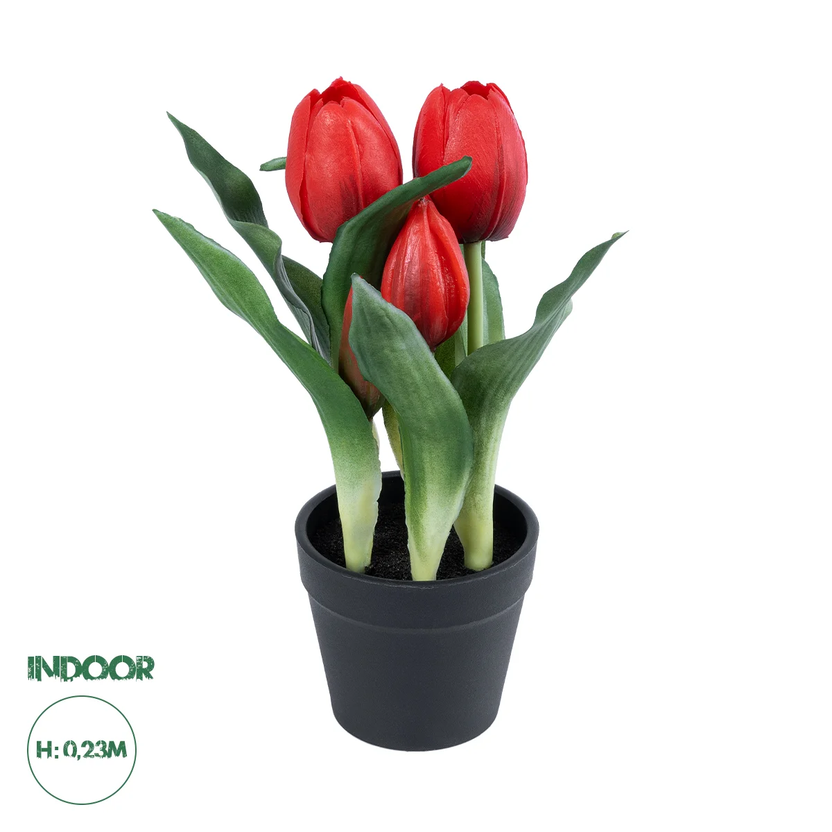 Φωτογραφία προϊόντος: GloboStar® Artificial Garden RED TULIP 21094 Διακοσμητικό Φυτό Κόκκινη Τουλίπα Υ23cm