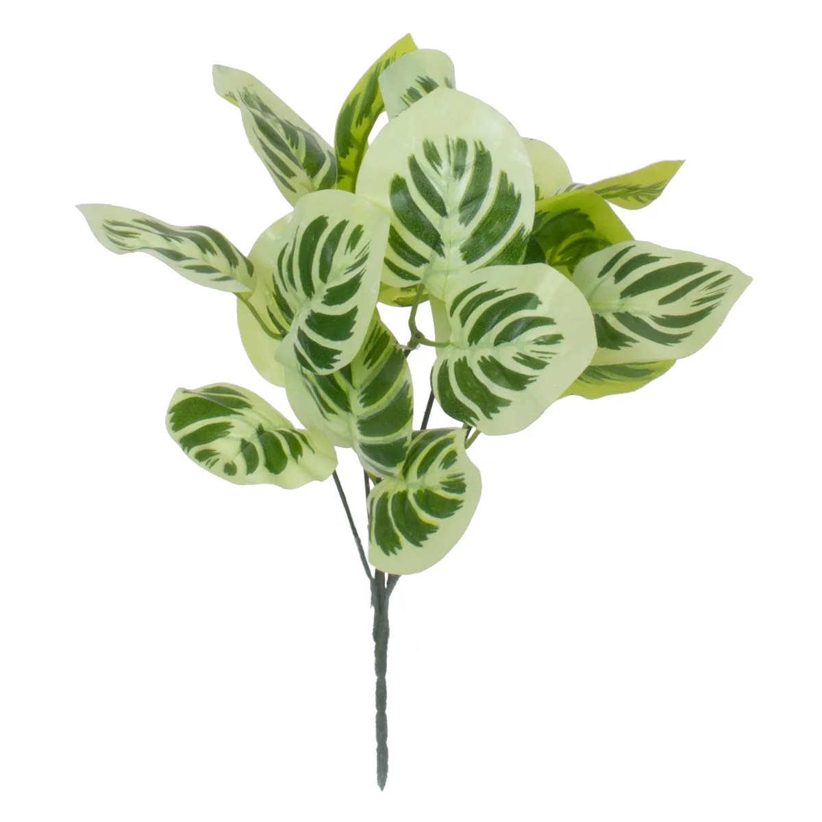 Φωτογραφία προϊόντος: GloboStar® WHITE PEPEROMIA 78276 Τεχνητό Φυτό Πεπερόμια Λευκή - Μπουκέτο Διακοσμητικών Φυτών - Κλαδιών με Φύλλωμα Πράσινο - Λευκό Υ33cm