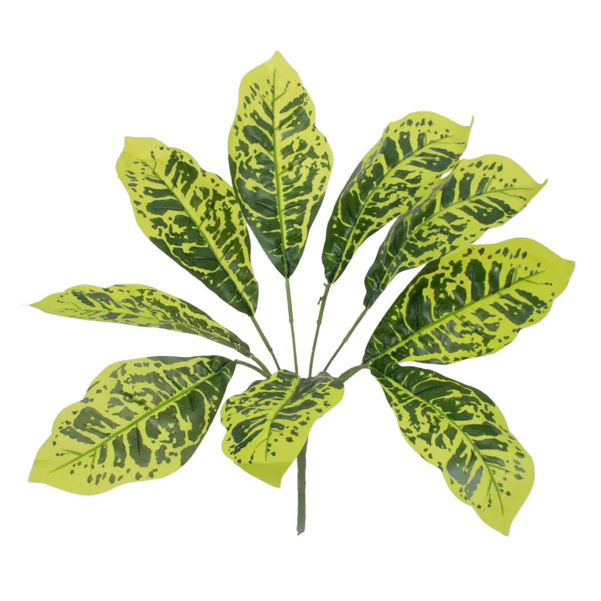 Φωτογραφία προϊόντος: GloboStar® GREEN CROTON 78226 Τεχνητό Φυτό Κροτώνας Πράσινος - Μπουκέτο Διακοσμητικών Φυτών - Κλαδιών με Φύλλωμα Πράσινο Υ44cm