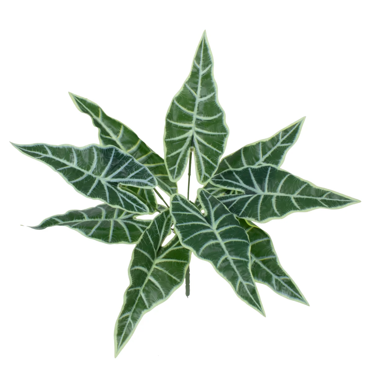 Φωτογραφία προϊόντος: GloboStar® ALOCASIA 78225 Τεχνητό Φυτό Αλοκάσια - Μπουκέτο Διακοσμητικών Φυτών - Κλαδιών με Φύλλωμα Πράσινο Υ43cm