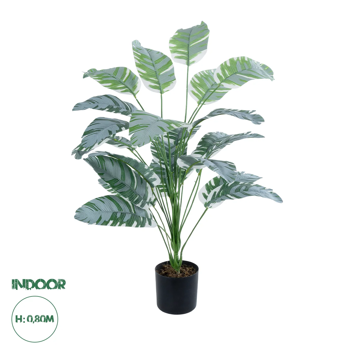 Φωτογραφία προϊόντος: GloboStar® Artificial Garden BANANA ZEBRA PLANT 20919 - Διακοσμητικό Φυτό Μπανανιά Ζέβρα Φ78 x Υ80cm